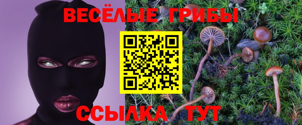Большой Камень  Галлюциногенные грибы прущие грибы  Псилоцибиновые грибы прущие грибы  Вход с VPN 